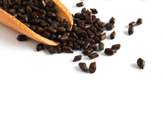 Fetid cassia seed also called ketsumei-shi on wooden spoons scattered isolated on a white background. Asia traditional Chinese medicine. Good for the eyes. .Cassia herb Tea.