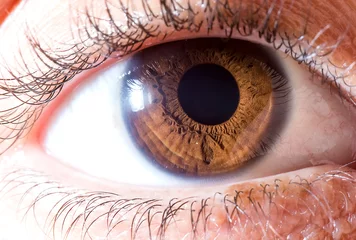 Zelfklevend Fotobehang Eye iris detail © Felipe Brasil