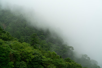 Mount Tsurugi in Tokushima, Japan