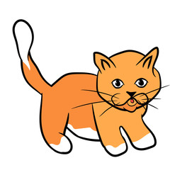 little red cat cartoon illustration on a white background
