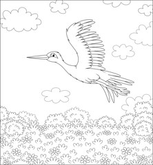 Stork flying over a meadow with wild flowers on a sunny summer day, black and white vector illustration in a cartoon style for a coloring book