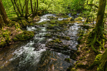 Stromschnellen der Dhünn