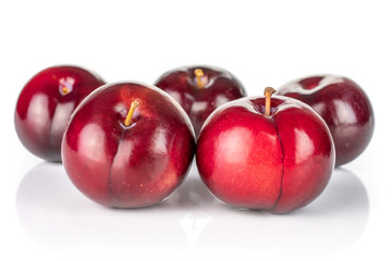 Group of five whole ripe red round plum two are in the front arranged symmetrically isolated on white background