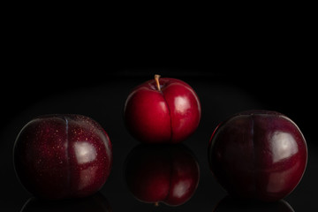 Group of three whole ripe red round plum arranged symmetrically isolated on black glass