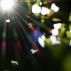 Visible light spectrum in the colors red, orange, yellow, green, blue, indigo and violet. Natural background for sunny and nature themes. Atmospheric design with dark blue lens flare and shining sun.