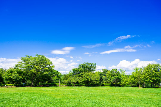 青空と緑の公園