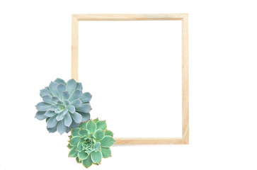 Wood Square frame with green succulent platn at bottom left corner white background