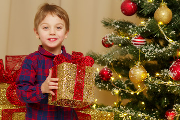 A little boy near the Christmas tree with a gift.