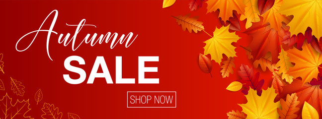 Autumn sale background banner with autumn fall maple leaves - obrazy, fototapety, plakaty