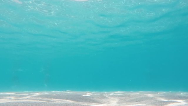 Underwater shot of sandy sea floor with blue color sea and a Mediterranean Sea Bream fish