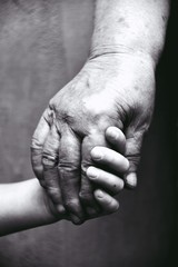 Fototapeta premium Grandmother holding grandson hand 