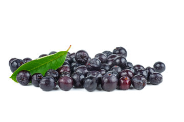 Chokeberries isolated on white background