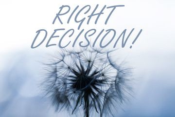 Word writing text Right Decision. Business photo showcasing making good choice after considering a...