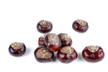 Obraz premium Horse-chestnuts isolated on white background