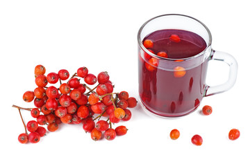 Glass of rowan stew isolated on white background