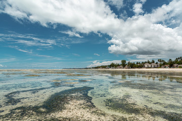 Low tide on Indian Ocean