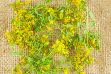 St. John's wort on jute background