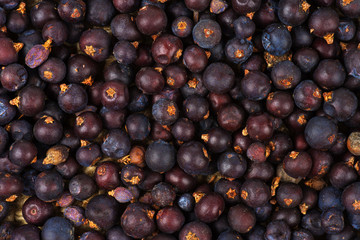 Dried Juniper Berries background