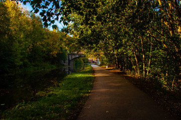 Autumn in the city