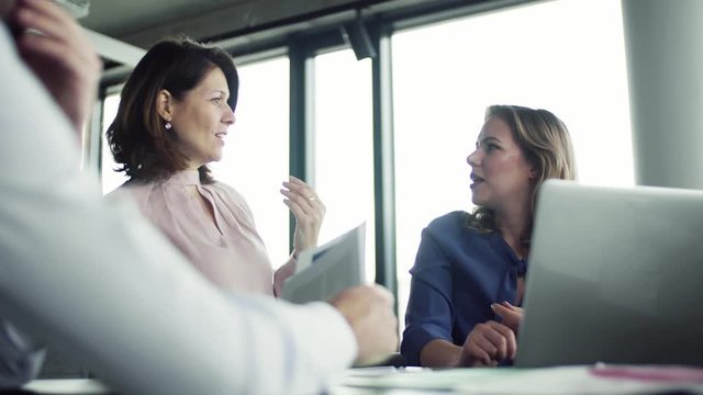 A group of business people with laptop sitting in an office, talking.