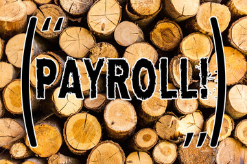 Handwriting text Payroll. Concept meaning Total salaries paid by a company to its employees Wooden...