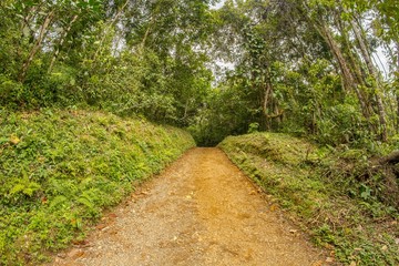 En el camino