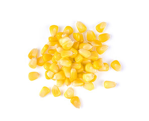 corn seeds isolated on white background. top view