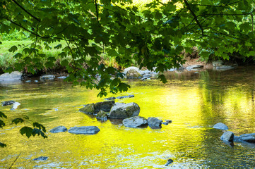 Along the river Barle in Tarr Steps Woodland