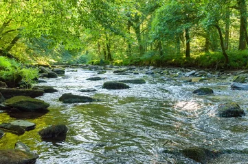Fotobehang Langs de rivier de Barle in Tarr Steps Woodland © bravajulia