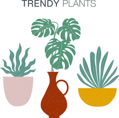 Modern plants in pots collection in trendy earthy hues
