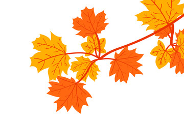 autumn leaves set, isolated on white background. simple cartoon flat style, vector illustration