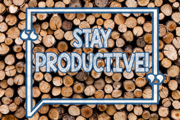 Handwriting text writing Stay Productive. Conceptual photo Efficiency Concentration Productivity Wooden background vintage wood wild message ideas intentions thoughts