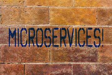 Conceptual hand writing showing Microservices. Concept meaning Software development technique Decomposing an application Brick Wall art like Graffiti motivational written on wall