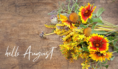 Hello August. helpful herbs for health, beautiful wild flowers bouquet. summer season nature background in garden. shallow depth, soft selective focus. © Ju_see