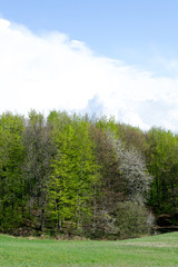 Detail of the landscape seen from the 