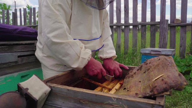the beekeeper works in the apiary with bee families. Village apiary.