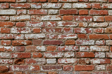 Naklejka premium the pattern on the glass door,taken against the light