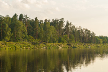 Fototapeta na wymiar river and forest on the shore at sunset