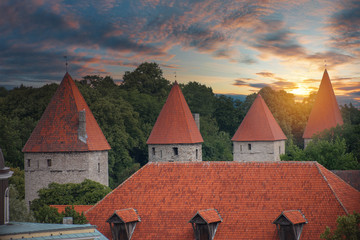 Fototapety na wymiar - Fototapeta24.pl