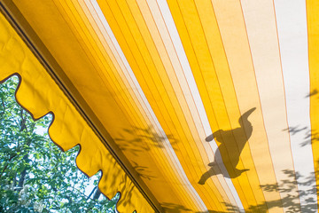 Shadow of an adventurous young cat climbing on yellow awning