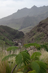 Fototapeta na wymiar Gran Canaria Soain Mountains