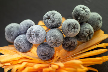 Frozen berry covered with frost lies on the flower