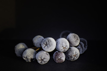 Frozen berry covered with frost