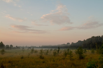 Landscape with a meadow of grass against the backdrop of a sunrise, selective focus