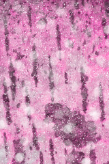 abstract texture made from the trunk of a tree