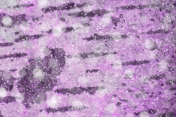 abstract texture made from the trunk of a tree