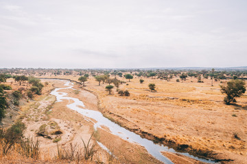 African animals and wildlife in Tanzania on safari