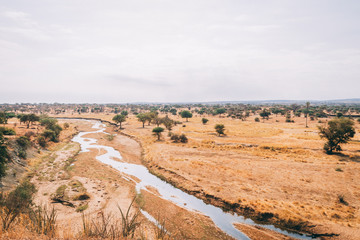 Naklejka premium African animals and wildlife in Tanzania on safari