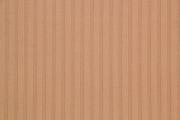 Fabric cotton Jersey color.
