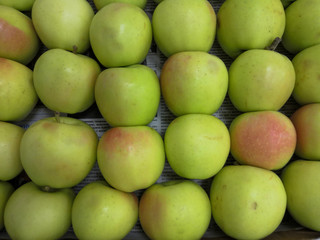 Green red apples delicious juicy fresh fruit background